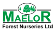 Maelor Forest Nurseries logo