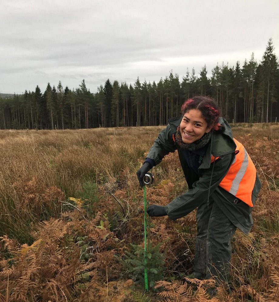 Danielle Stoddart, Maelor Forest Nurseries